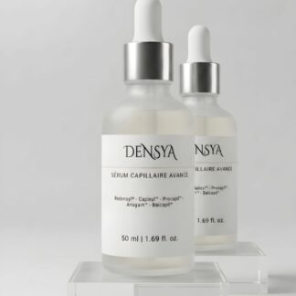 DENSYA - 2 unités